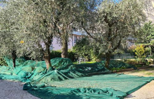 Le peonie - Photo 44