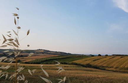 L'Ulivo Bianco - Foto 19