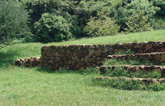 Guachimontones + Tequila Day Trip - Photo 3