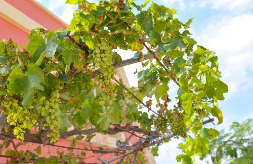 Villa Ada Leverano - Foto 37