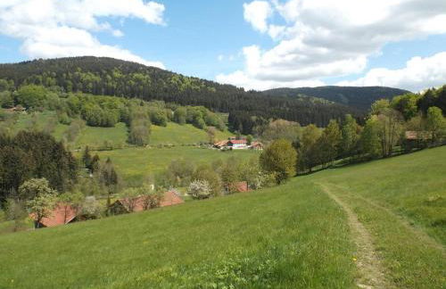 Ferienwohnung Lindenhof - Foto 50