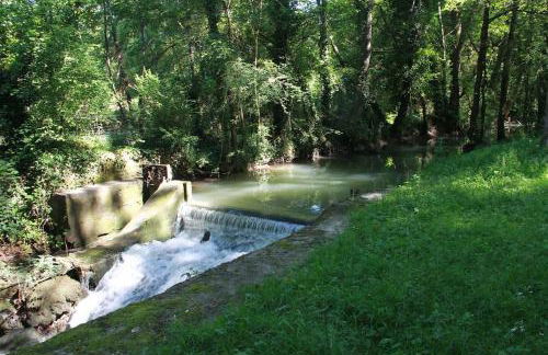 La Chartreuse et son Orangerie - Foto 67