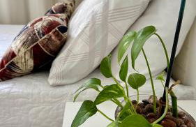 Localização privilegiada Apenas 8Min da Orla de Atalaia 5Min do Shopping 10Min Centro , 2 Quartos - Foto 15