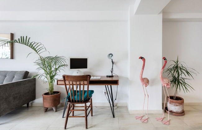 Destination Condesa @Alvaro Obregon Views 2 - Photo 15