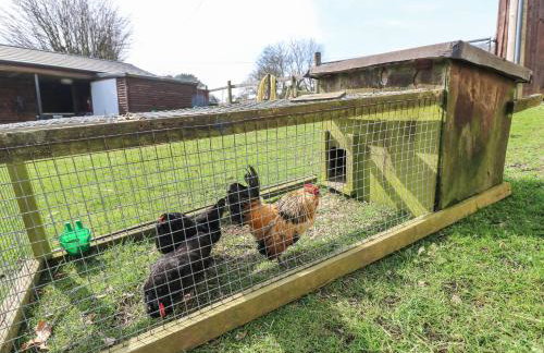 The Pepper Pot Retreat - Foto 30