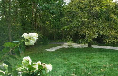 Large Private House on 5 Wooded Acres. Total Privacy! - Foto 7