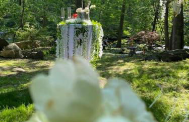 Midcentury Modern ZenHouse Sculptor Studio - Foto 21