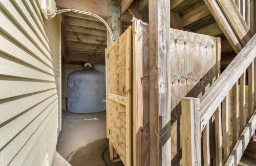 CAC-23B - Zebrafish - Foto 33