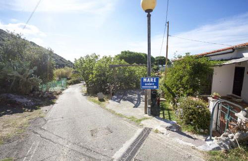 Bougainvillea Primo Piano - Goelba - Foto 27