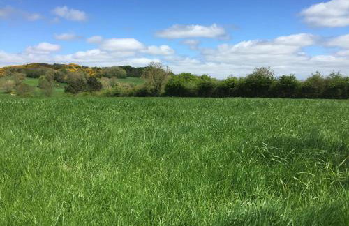 Craigs Rock Cottage Cookstown - Foto 19