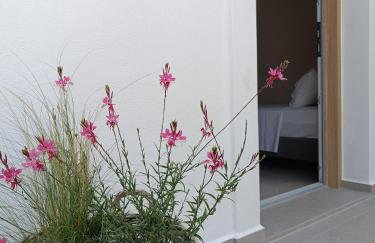 Petra Lodge - Photo 45