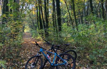 Przy Złotych Piaskach 1 - Foto 60