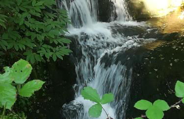 Apartamentos lagunas - Foto 9