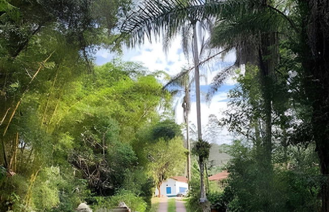 Cottages Bem-te-Vi e Beija-Flor, Mata Atlântica, Pesca, Natureza - Foto 79