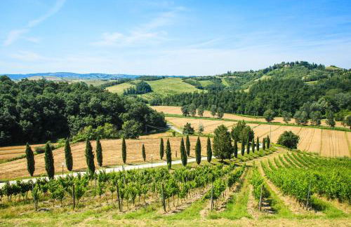 Colle Bertini - Foto 38