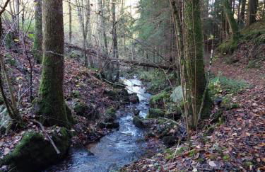 Urlaub an der Grenze - Foto 39