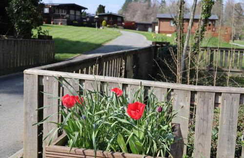 HEDDFAN, Luxury 3 bedroom timber lodge, Now with WiFi, Caer Beris Holiday Park, Builth Wells, SORRY NO TRADESMEN OR CONTRACTORS ALLOWED - Foto 35