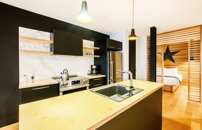 Les Lofts St-Pierre - By Les Lofts Vieux-Quebec - Photo 67