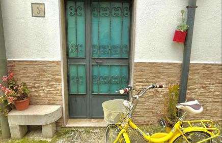 Patanella Wine - Foto 1