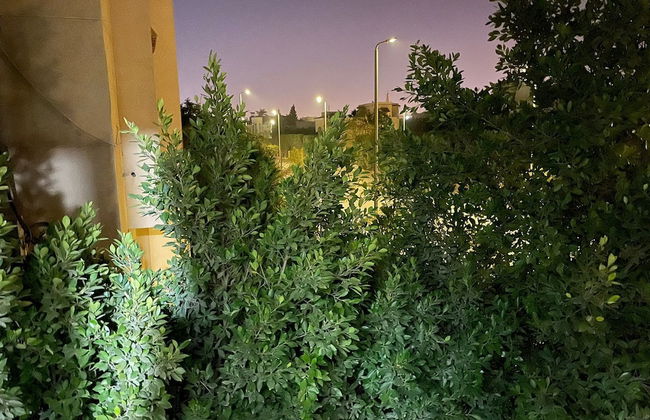 Beverly hills villa with garden - Foto 76