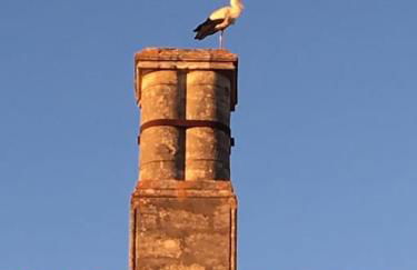 Château Bernon Gite 15 Personnes - piscine et SPA - Foto 56
