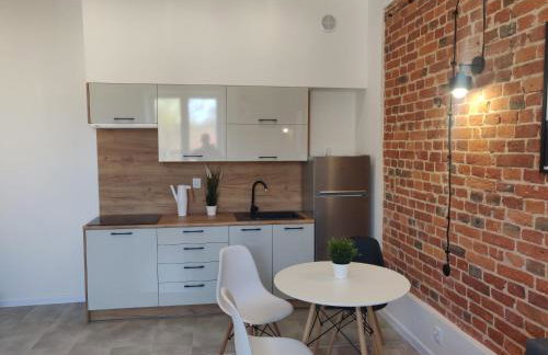 Konopnickiej 9 Apartament Loft dostęp na kod, Ptak, Orientarium, Atlas ARENA, Szpital, Mandoria, Fala, Centrum Zdrowia Matki Polki, Rodzina, Family, bezpłatny parking - Foto 5