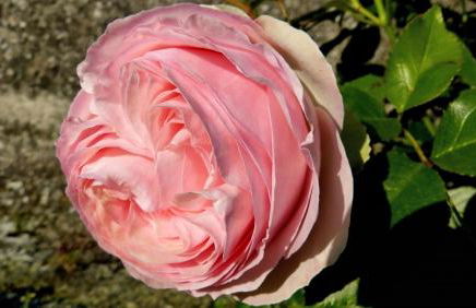 Casa vacanze Ester - Photo 25