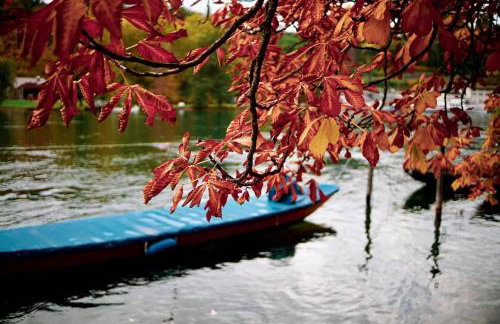 Secret Garden - Foto 51