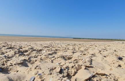 Ô de Vents - à 30m de la plage - Foto 16