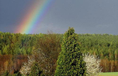 Ferienwohnung Waldstraße - Foto 46