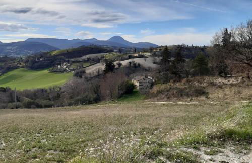 house Al Cascinale - Photo 32