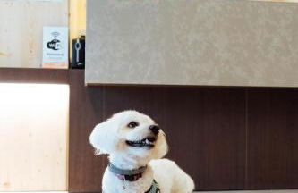 APARTAMENTS LA CARPA - Foto 65