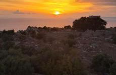 Yulie's Orama - Foto 42