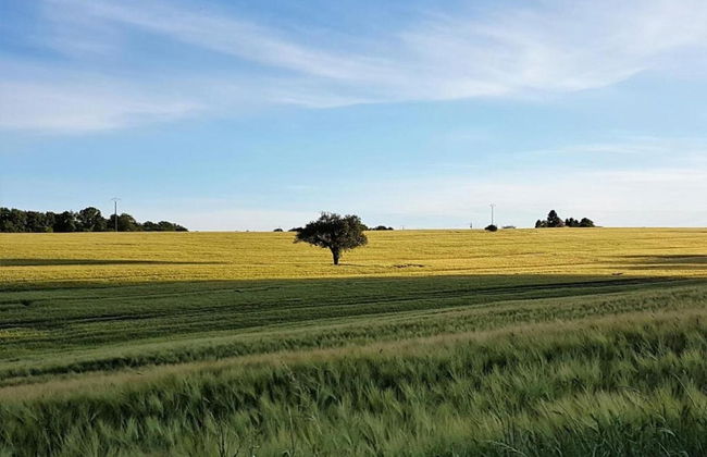 Romantic Stay in a Medieval Castle With Pool and Restaurant Among Others - Foto 77