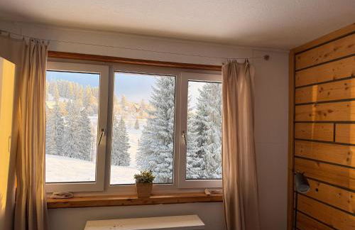 Mitten auf dem Feldberg Panorama Apartment Bergglück - Foto 4