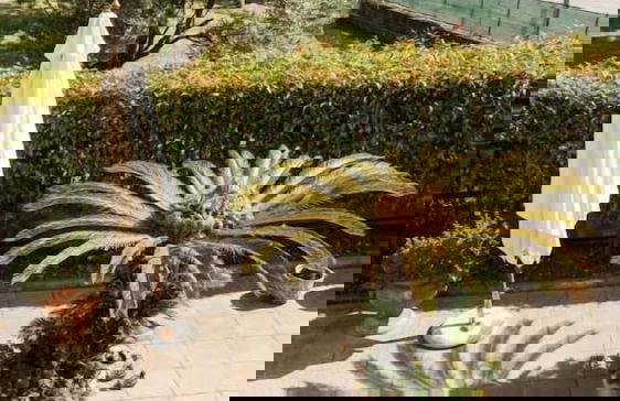 La Dimora di Annarè - Foto 15