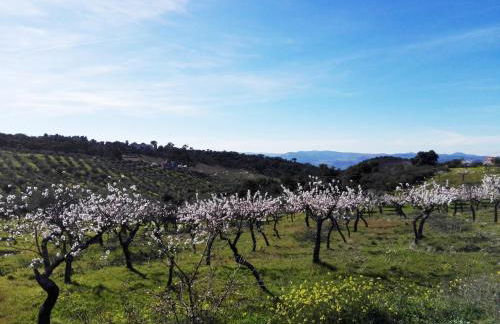 Bela Vista Silo Housing - Foto 26