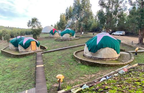 Quinta de São José dos Montes - Foto 52