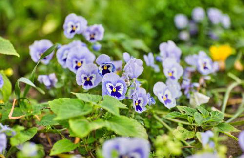 Bauernhofurlaub bei Familie Bokeloh - Foto 73