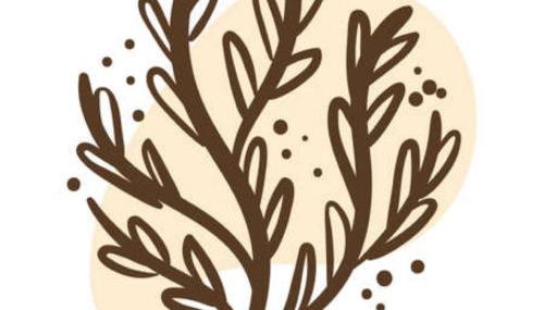 Casa Sebadal - Foto 2