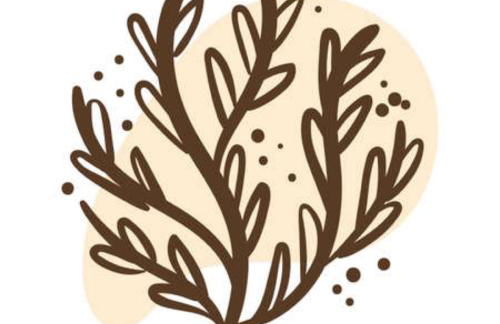 Casa Sebadal - Foto 2