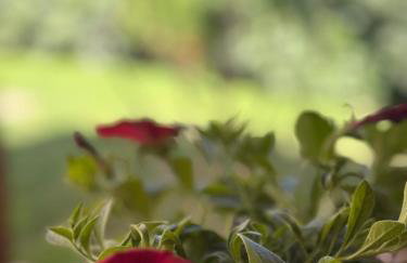 Villa Fanouris - Foto 41