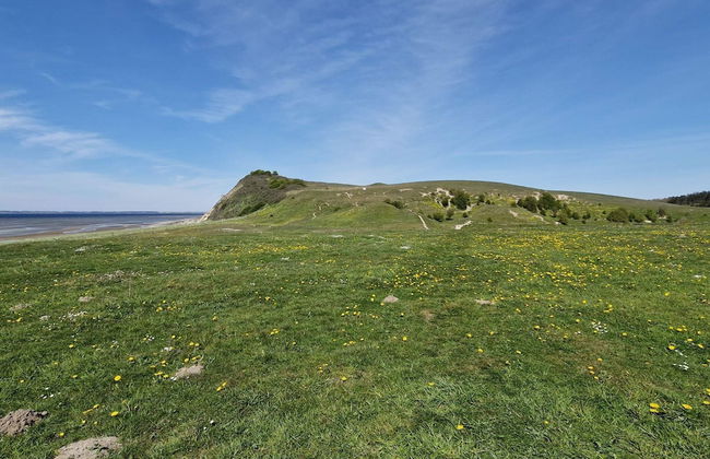 8 Person Holiday Home in Skals - Foto 6