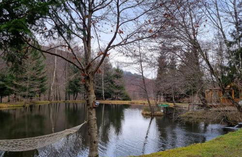 Insolite Tiny House Sérénité Bien Être - Foto 28