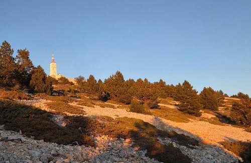 Les Gites du Mont Ventoux - Foto 73