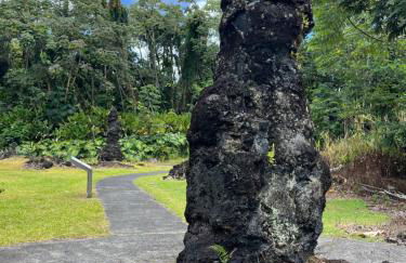 Comfort Nest - Foto 53