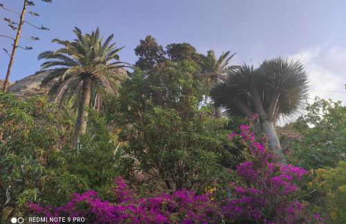 Casa Rural El Cabezo - Photo 10