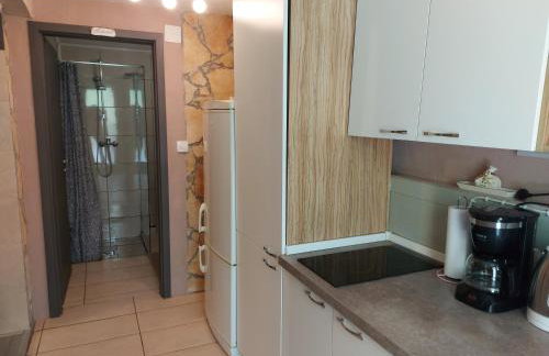 Apartment Balinovaca - Foto 39