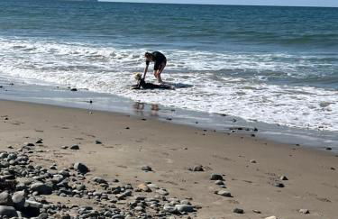 Snowdonia Mawddach escape - Foto 16