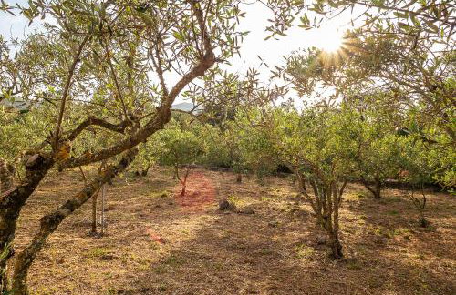 Villa Andromachi - Foto 54